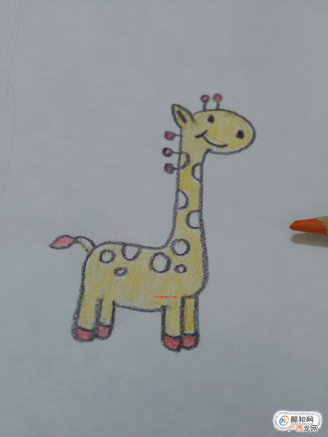 长颈鹿简笔画怎么画?可爱长颈鹿怎么画
