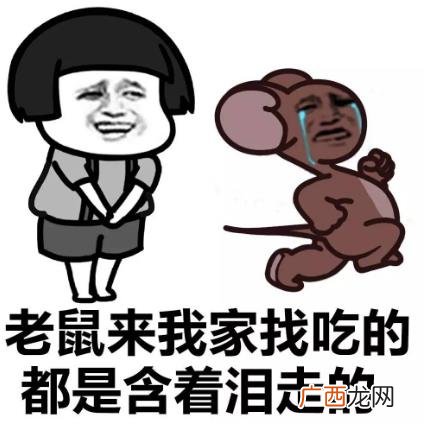 下水道女孩是什么意思什么梗 吐槽自己比贫民窟女孩还要穷惨
