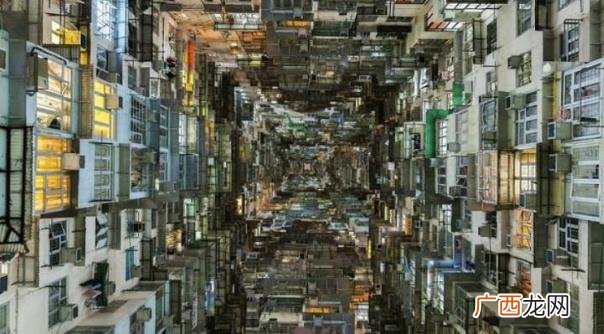 蚁族是什么意思？社会中低收入聚居群体 蚁族的生存现状