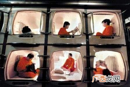蚁族是什么意思？社会中低收入聚居群体 蚁族的生存现状