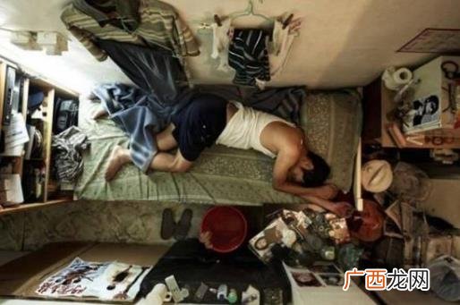 蚁族是什么意思？社会中低收入聚居群体 蚁族的生存现状