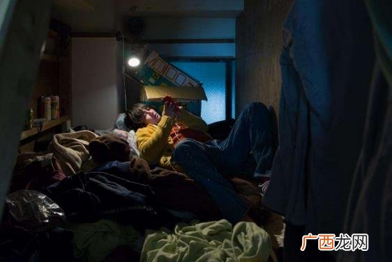 蚁族是什么意思？社会中低收入聚居群体 蚁族的生存现状