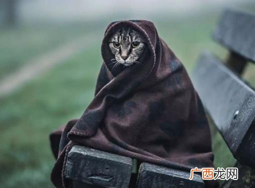 年度最佳50句经典反鸡汤的负能量段子 句句扎心 看完让你怀疑人生