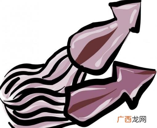 法克鱿是什么意思？法克鱿英文是什么意思？神兽法克鱿是鱿鱼吗