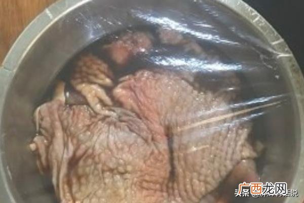 照烧鸡排的制作方法,如何制作照烧鸡腿？