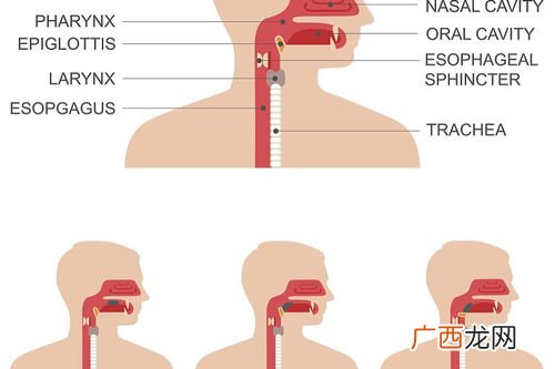 language是什么意思,Language是什么意思？