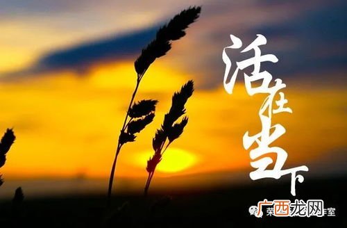 活在当下什么意思,活在当下什么意思？