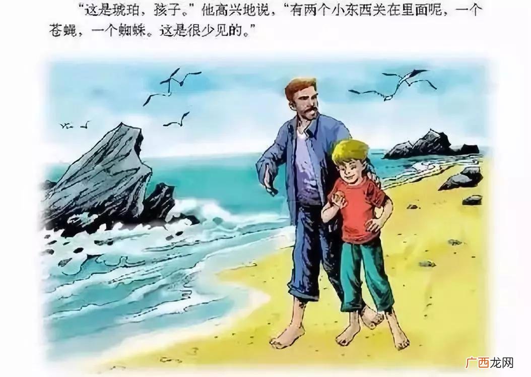 琥珀的各种分类以及形成条件 琥珀的形成过程是什么