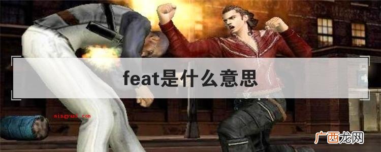 feat是什么意思