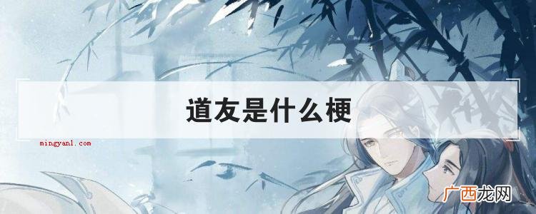 道友是什么梗