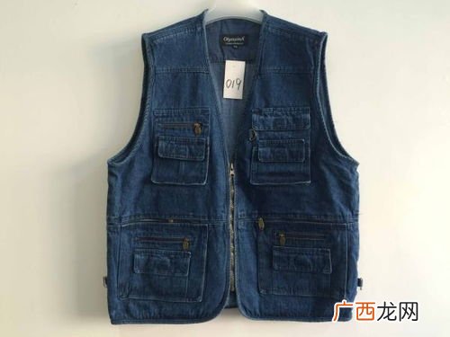vest是什么意思,vest的形容词？