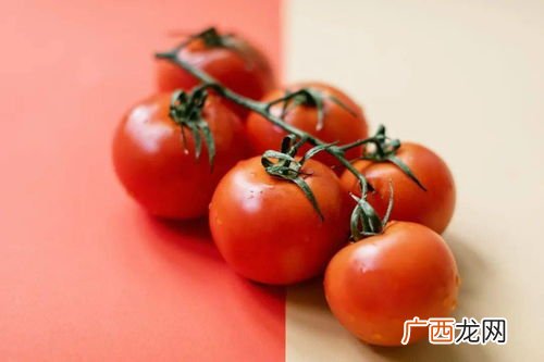 tomato什么意思,Tomatoes复数为什么加es？