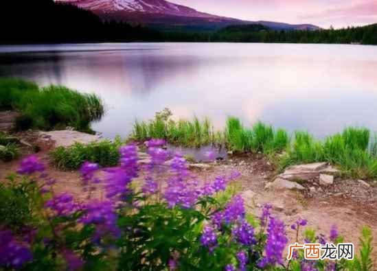 拴q是什么意思网络用语,绕口令拼音版带汉字？
