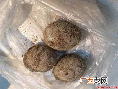 水泡盐蛋怎么做才翻沙出油