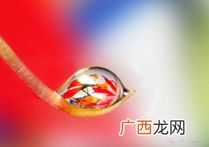 珠圆玉润是什么意思,珠圆玉润的成语意思？