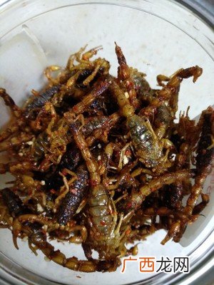 蝎子可以油炸吃吗?,蝎子炸着吃还是煮着吃？