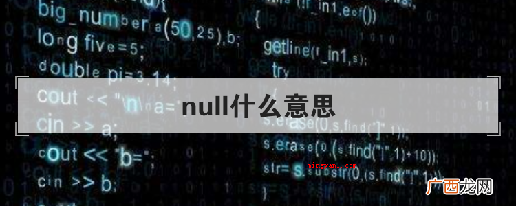 null什么意思