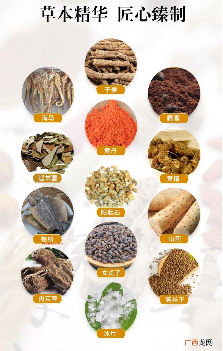 古龙升阳是什么意思？