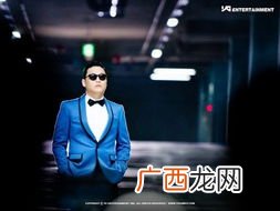 psy是什么意思,psy作为后缀意思？
