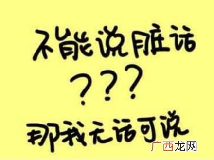我能说脏话吗是什么意思什么梗？不能，那我没什么好说的了 油价门事件