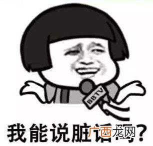 我能说脏话吗是什么意思什么梗？不能，那我没什么好说的了 油价门事件