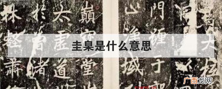 圭臬是什么意思