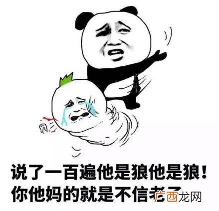 是个狼人是什么意思什么梗?比狠人再狠一点的人真skr狼人
