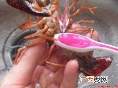 虾球怎么清洗才干净