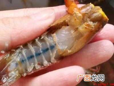 虾球怎么清洗才干净