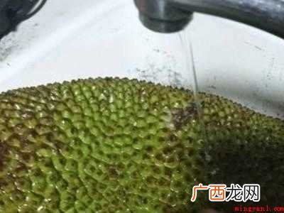 菠萝蜜的正确快速剥法
