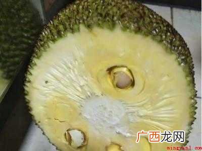 菠萝蜜的正确快速剥法