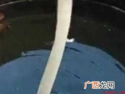 用管子吸水的巧妙方法