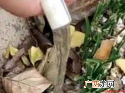 用管子吸水的巧妙方法