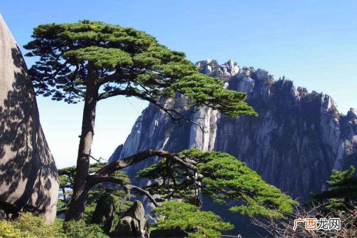 出名的奇松、怪石、云海、温泉 黄山的四绝是什么名称