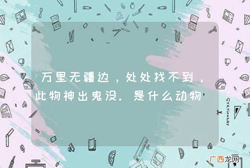 万里无疆边，处处找不到，此物神出鬼没.是什么动物