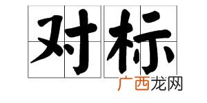 对标是什么意思,对标检查什么意思？