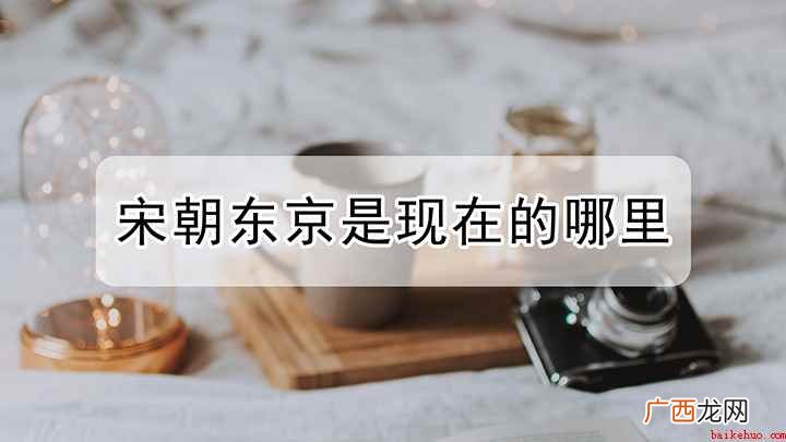 宋朝的东京其实就是现在的河南开封,赵匡胤建立北宋后,定都开封 宋朝的东京是现在的哪里