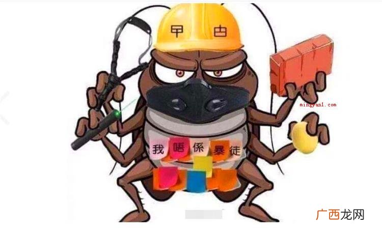 曱甴是什么意思