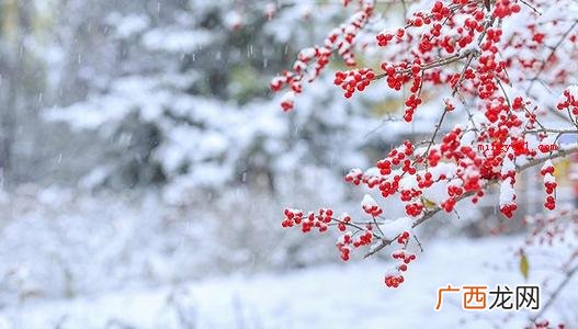 瑞雪兆丰年什么意思