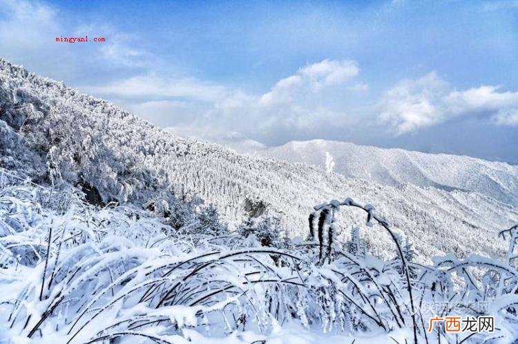 瑞雪兆丰年什么意思