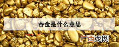 吞金是什么意思