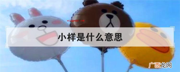 小样是什么意思