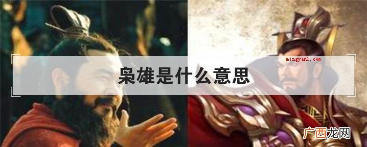 枭雄是什么意思