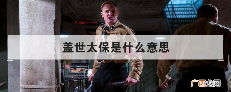 盖世太保是什么意思