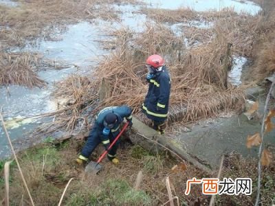 倾泄还是倾泻,倾泻还是倾泄？