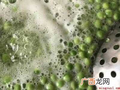 青碗豆子怎样保存