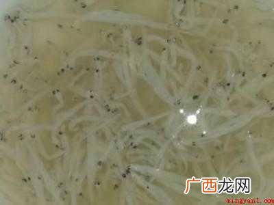 银鱼干泡发诀窍