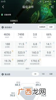 mmr是什么意思,mmr机制的意义？