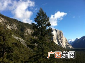 美不胜收的胜是什么意思,美不胜数的胜是什么意思？