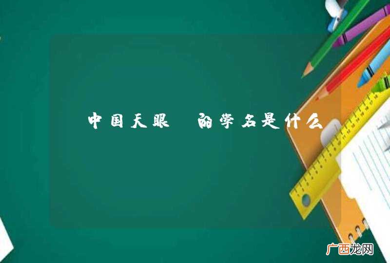 “中国天眼”的学名是什么？
